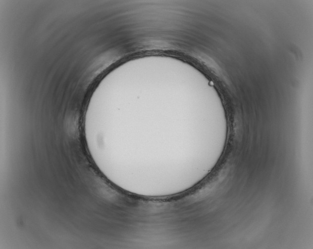 X0000110980873200907022053