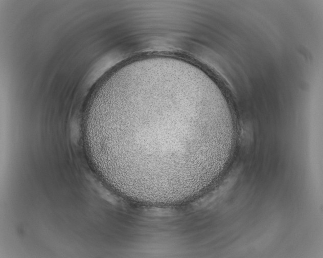 X0000110980874200907022053