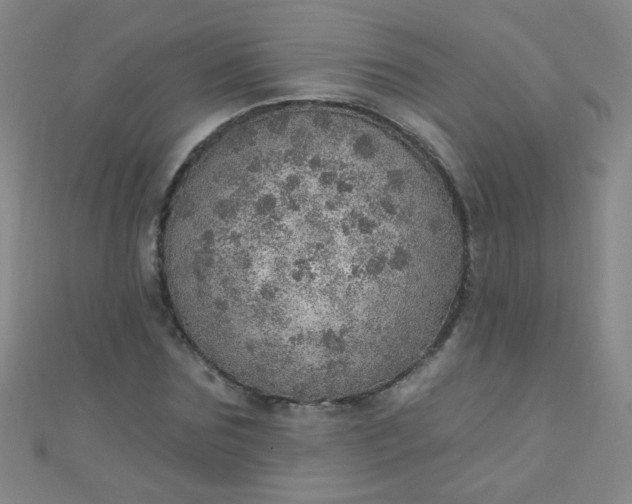 X0000110980875200907022053