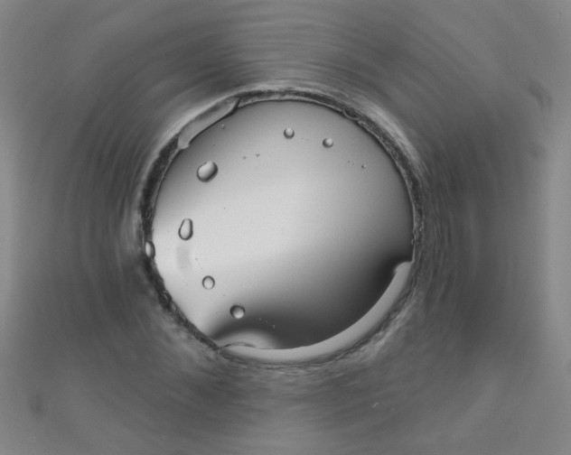 X0000110980876200907022053