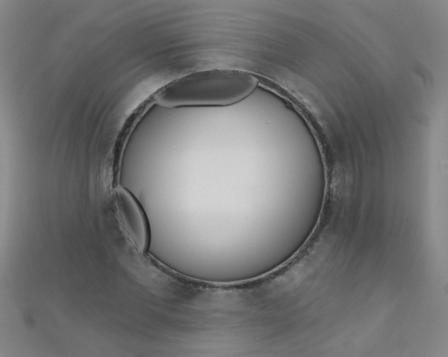 X0000110980877200907022053