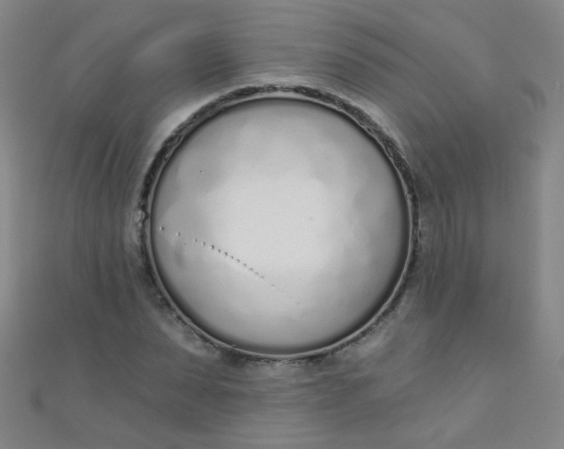 X0000110980879200907022053