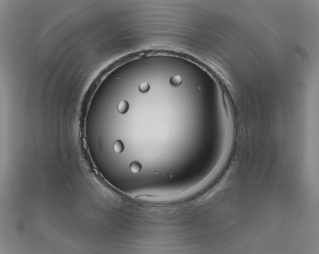 X0000110980880200907022053