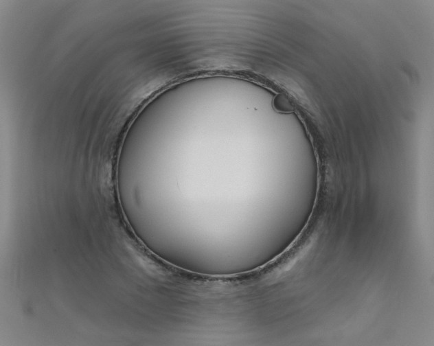 X0000110980881200907022053