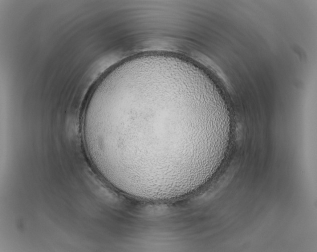 X0000110980882200907022053