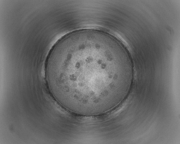 X0000110980883200907022053