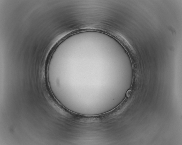 X0000110980884200907022053