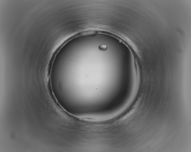 X0000110980885200907022053