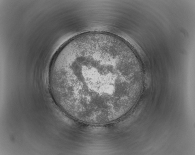 X0000110980886200907022053