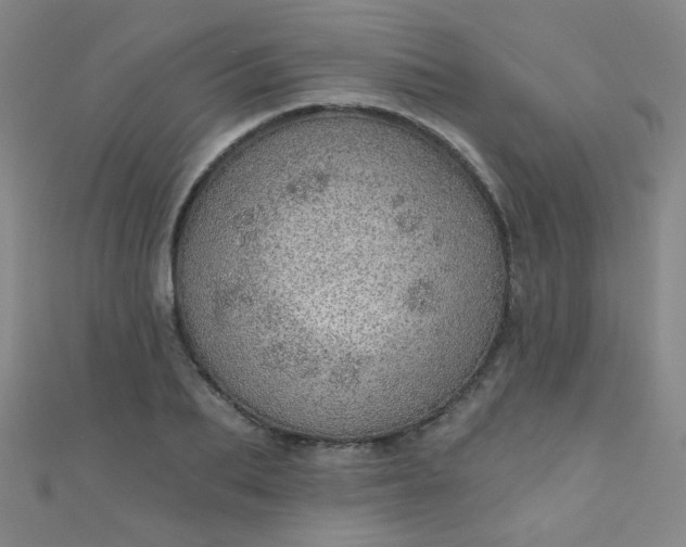 X0000110980887200907022053