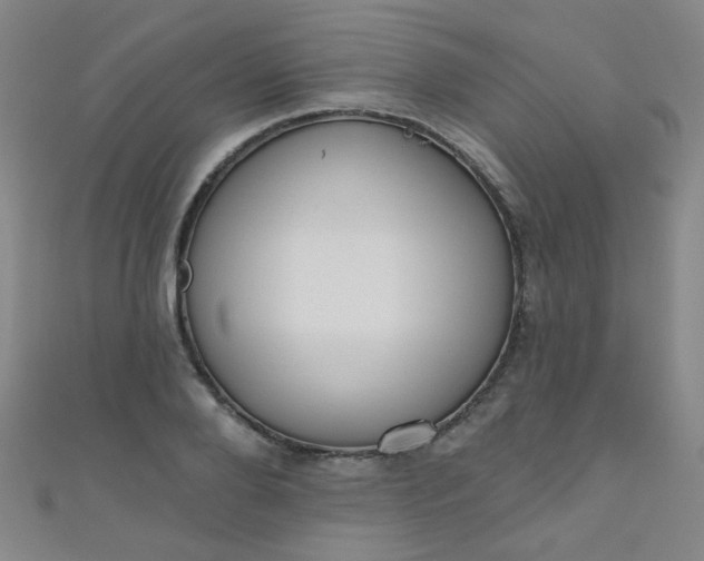 X0000110980888200907022053