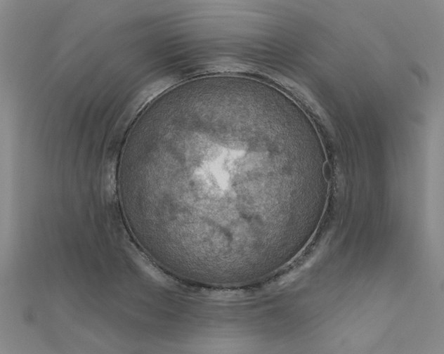 X0000110980889200907022053