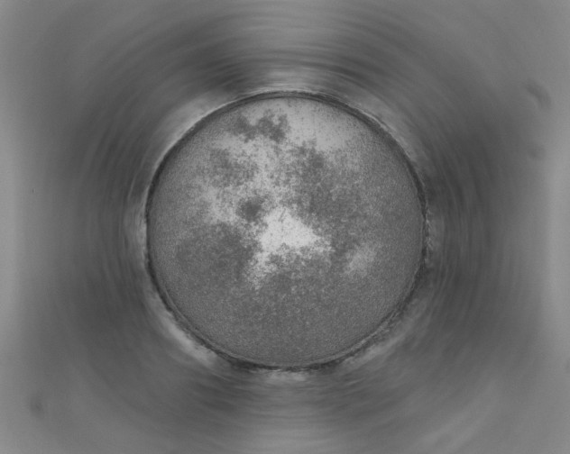 X0000110980890200907022053