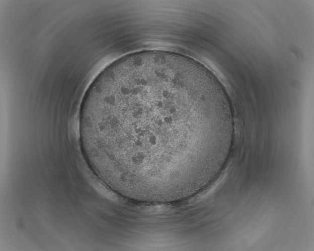 X0000110980891200907022053