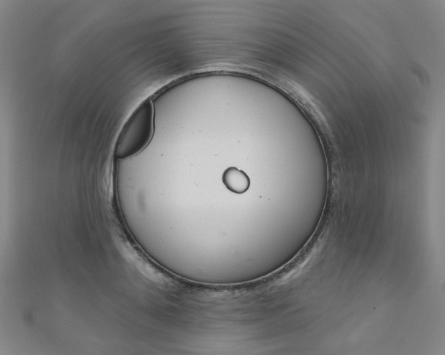 X0000110980892200907022053