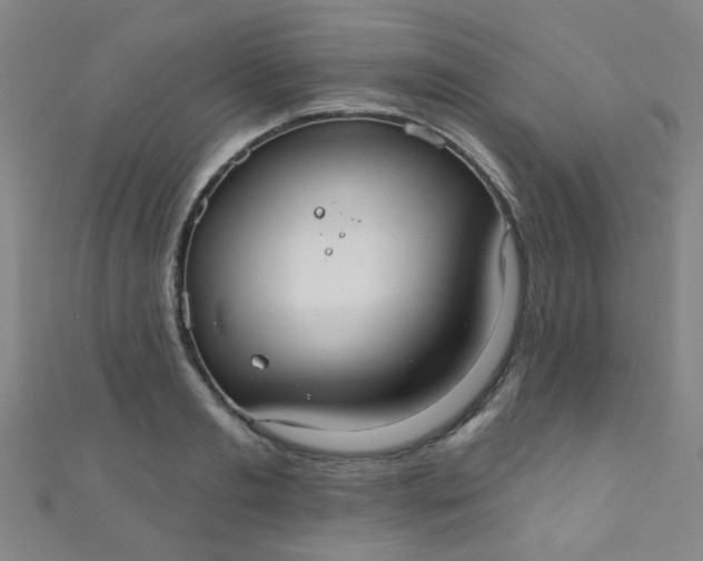 X0000110980893200907022053