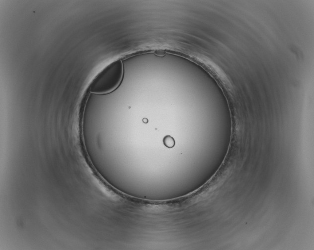 X0000110980894200907022053