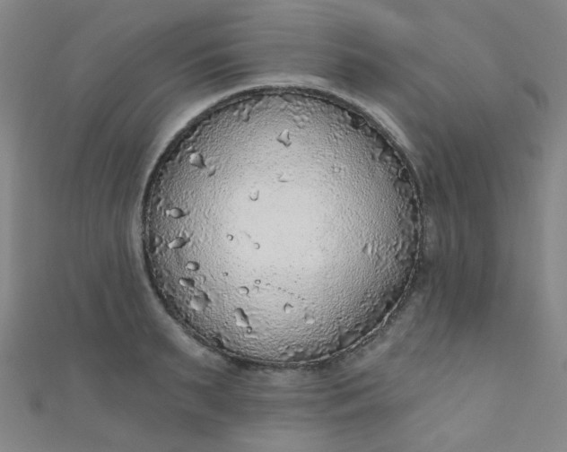 X0000110980895200907022053