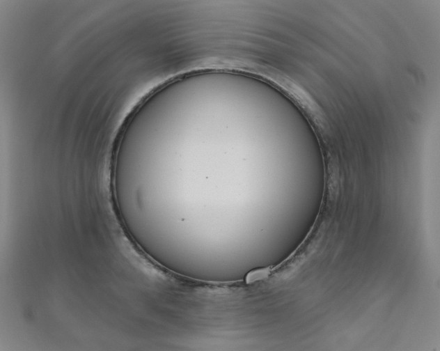 X0000110980896200907022053