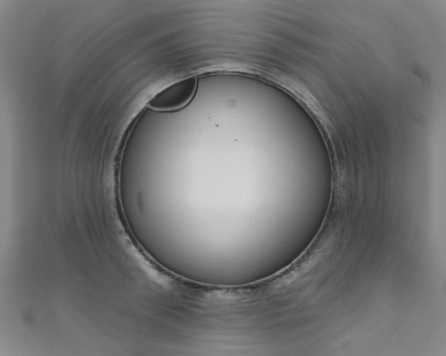 X0000110980898200907022053