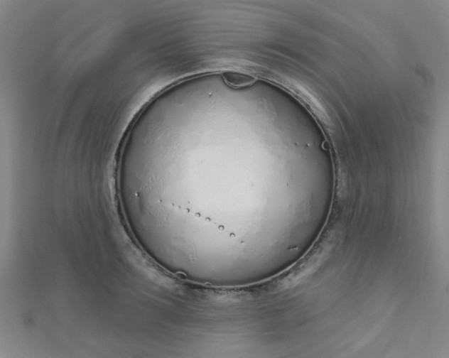 X0000110980899200907022053