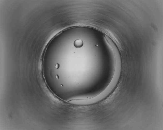 X0000110980900200907022053