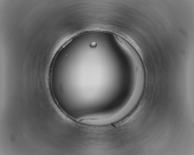 X0000110980901200907022053