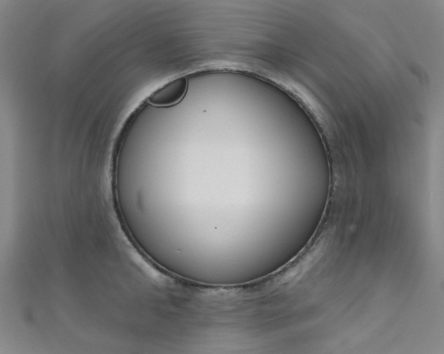 X0000110980902200907022053