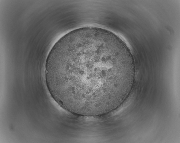 X0000110980903200907022053