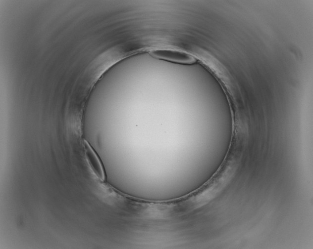 X0000110980905200907022053