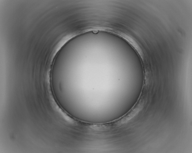 X0000110980906200907022053