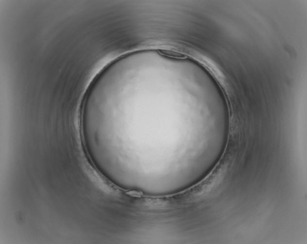 X0000110980907200907022053