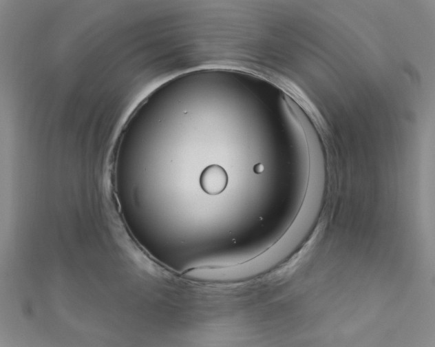 X0000110980908200907022053