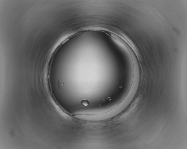 X0000110980909200907022053