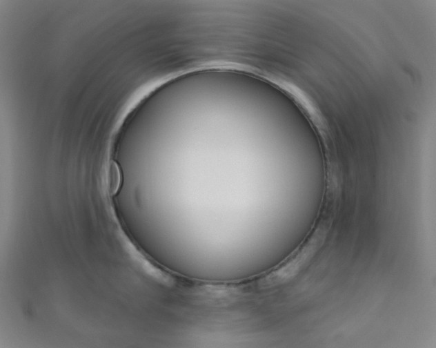 X0000110980910200907022053