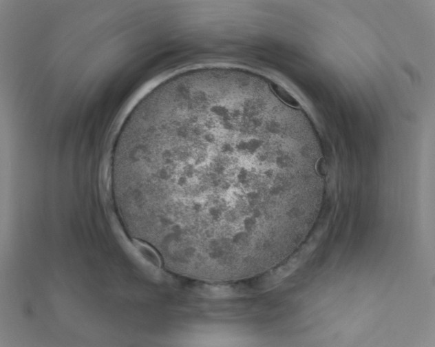 X0000110980911200907022053