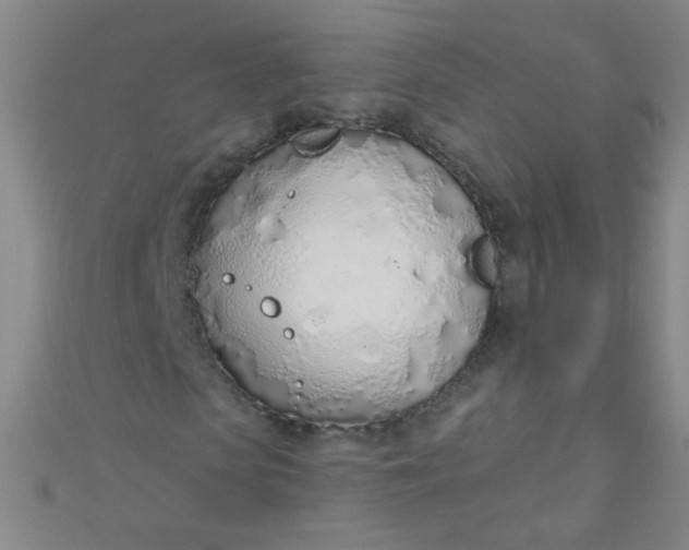 X0000110980913200907022052