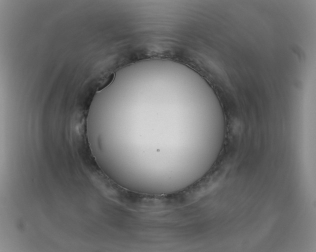 X0000110980914200907022052