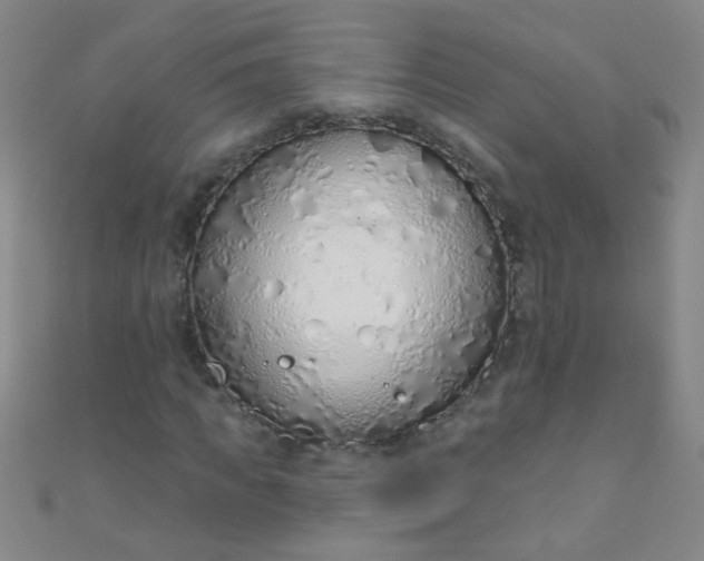 X0000110980917200907022052