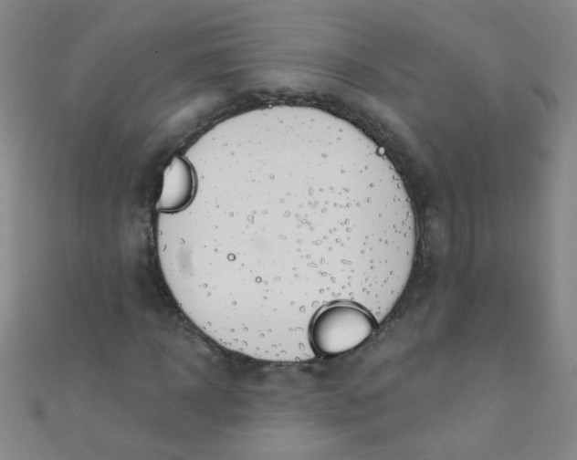 X0000110980918200907022052