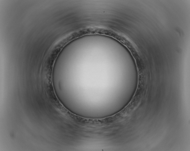 X0000110980919200907022052