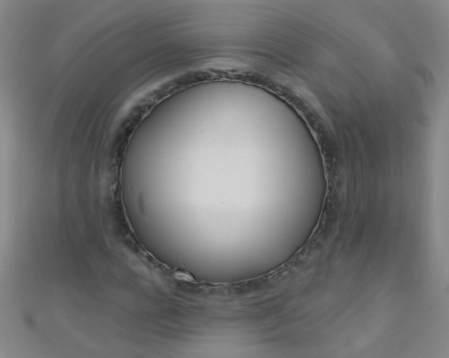 X0000110980920200907022052