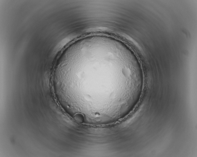 X0000110980921200907022052