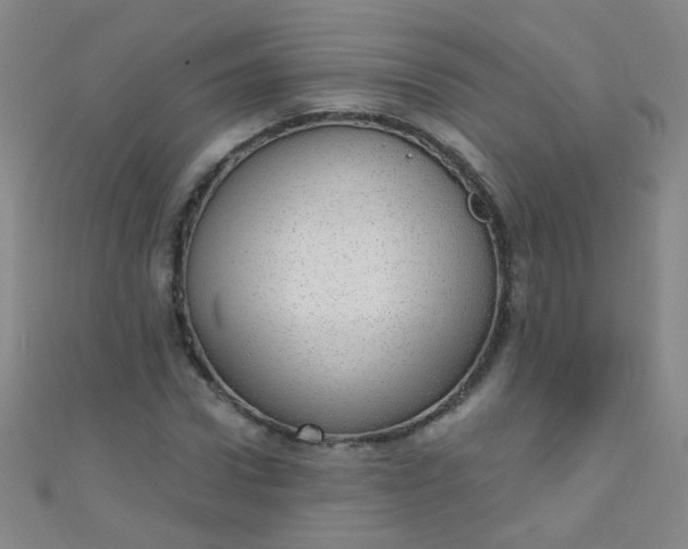 X0000110980922200907022052