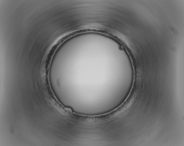 X0000110980923200907022052