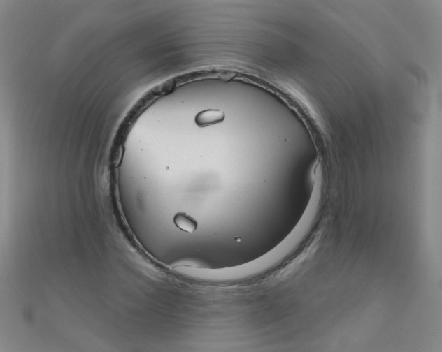 X0000110980924200907022052