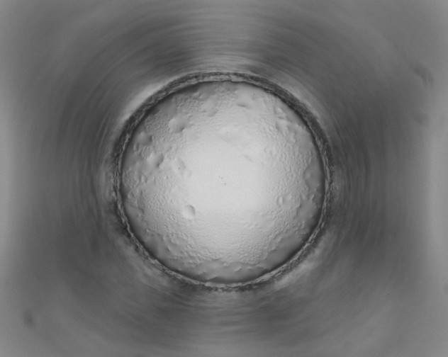 X0000110980925200907022052