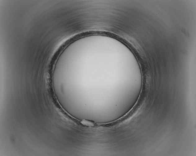 X0000110980926200907022052