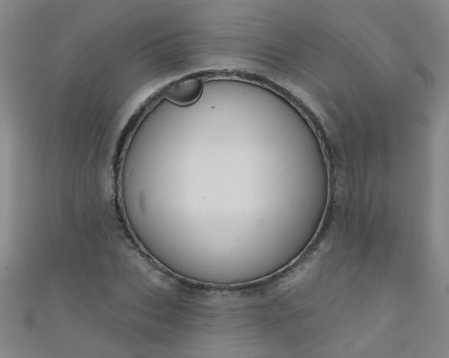 X0000110980927200907022052