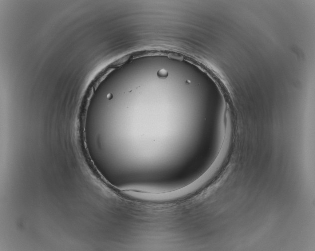 X0000110980928200907022052